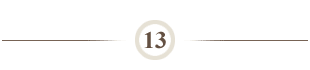 step 13
